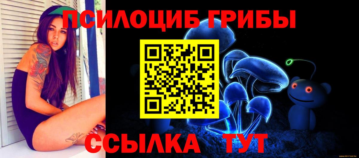 Псилоцибиновые грибы Cubensis Углич